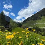Mountain *