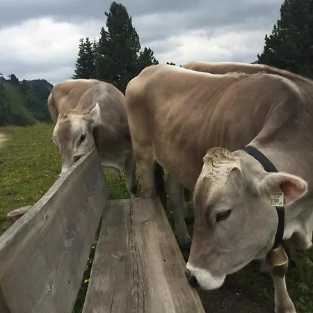 Apartment Mountain Tux