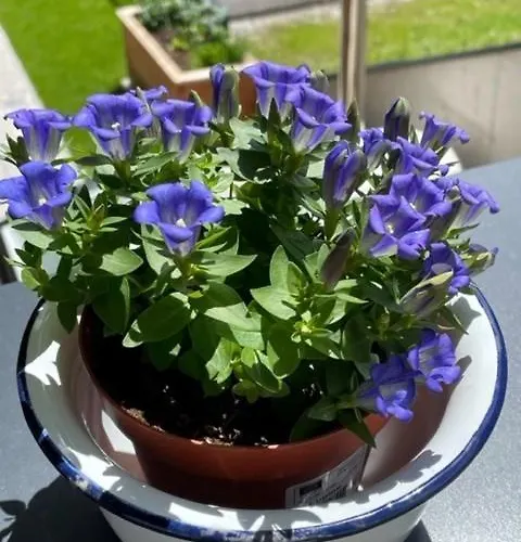 Apartamento Mountain